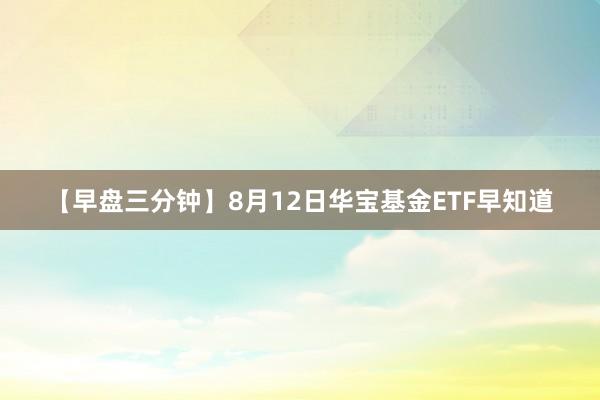 【早盘三分钟】8月12日华宝基金ETF早知道