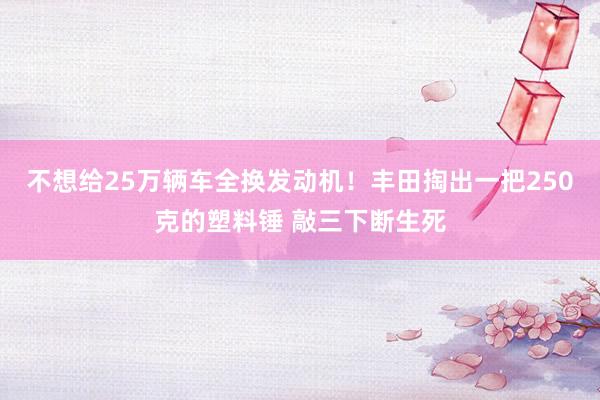 不想给25万辆车全换发动机！丰田掏出一把250克的塑料锤 敲三下断生死