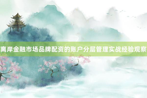 离岸金融市场品牌配资的账户分层管理实战经验观察