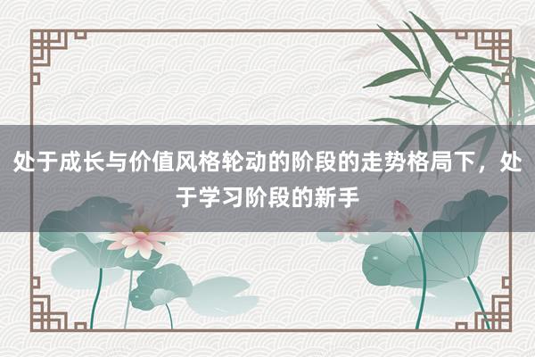 处于成长与价值风格轮动的阶段的走势格局下，处于学习阶段的新手