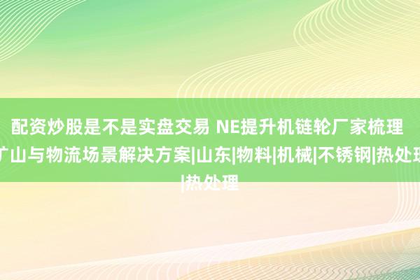 配资炒股是不是实盘交易 NE提升机链轮厂家梳理 矿山与物流场景解决方案|山东|物料|机械|不锈钢|热处理