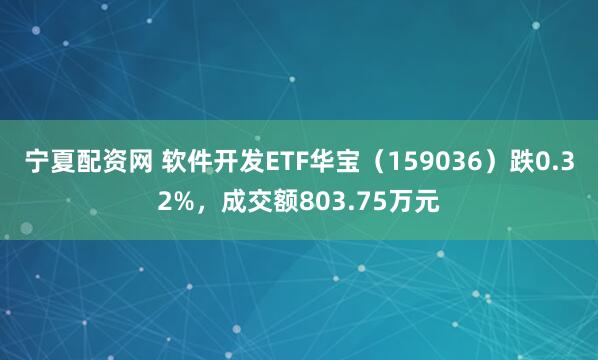 宁夏配资网 软件开发ETF华宝（159036）跌0.32%，成交额803.75万元