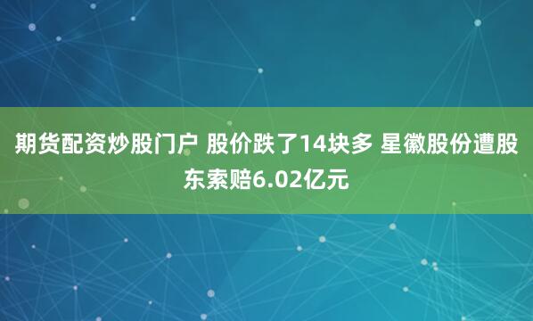 期货配资炒股门户 股价跌了14块多 星徽股份遭股东索赔6.02亿元