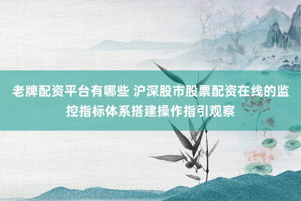 老牌配资平台有哪些 沪深股市股票配资在线的监控指标体系搭建操作指引观察