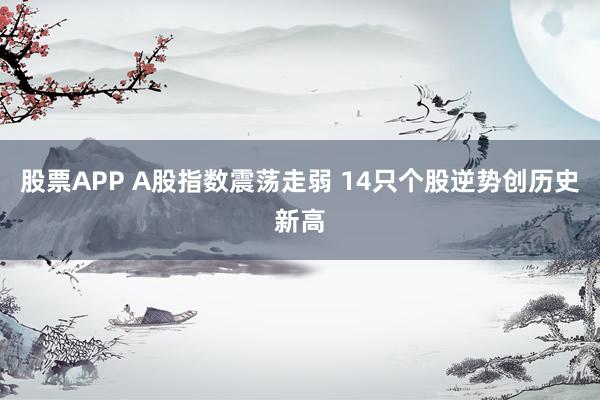 股票APP A股指数震荡走弱 14只个股逆势创历史新高