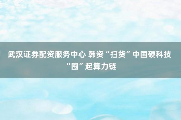 武汉证券配资服务中心 韩资“扫货”中国硬科技 “囤”起算力链